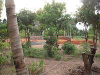 post-19542-0-92591400-1315722401_thumb.j