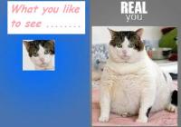 post-46648-0-59983700-1317032759_thumb.j