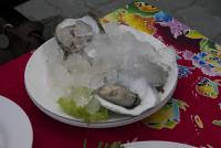 post-62520-0-06904800-1316007324_thumb.j