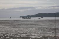 post-62520-0-72444100-1316007094_thumb.j