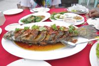 post-62520-0-85041900-1316007266_thumb.j