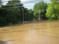 post-82655-0-10185400-1317298820_thumb.j