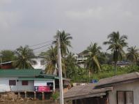 post-14979-0-09500800-1348904499_thumb.j