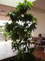 post-14979-0-15985400-1348902087_thumb.j