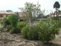 post-14979-0-46432000-1348902073_thumb.j