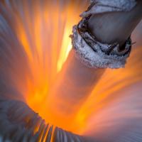 post-152667-0-20663800-1348570352_thumb.