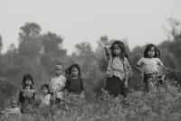 post-1983-0-25074300-1346660670_thumb.jp