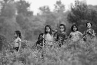 post-1983-0-63714800-1347248061_thumb.jp