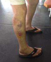 post-24771-0-06308900-1346724112_thumb.j