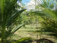 post-36430-0-84497300-1346928613_thumb.j