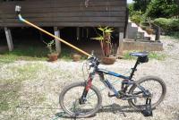 post-69255-0-03483600-1348720574_thumb.j