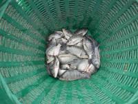 post-104736-0-64637500-1379886838_thumb.