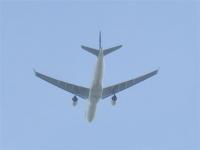 post-104736-0-88053100-1380327781_thumb.