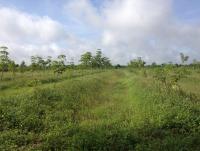 post-108598-0-95061200-1378274148_thumb.