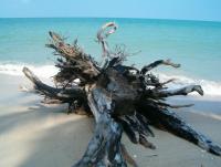 post-1186-0-25597100-1378732269_thumb.jp