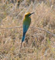 post-12069-0-39281600-1379186825_thumb.j