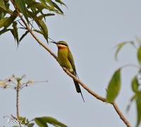 post-12069-0-43604200-1379186935_thumb.j