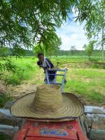 post-126208-0-12667200-1378022329_thumb.