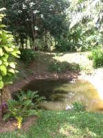 post-126208-0-17539500-1380086225_thumb.