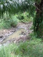 post-126208-0-50135100-1380086228_thumb.