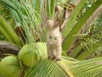 post-130732-0-69262000-1379915921_thumb.