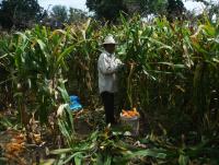 post-140056-0-59257800-1378961069_thumb.