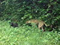 post-146250-0-04050400-1379914606_thumb.