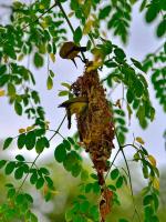 post-146250-0-35597900-1380018541_thumb.