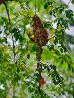 post-146250-0-38549600-1380018559_thumb.