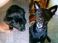 post-146250-0-77757700-1380177146_thumb.