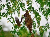 post-146250-0-82466400-1380018603_thumb.