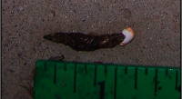 post-147745-0-40869300-1379908609_thumb.