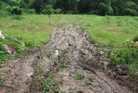 post-178648-0-10698100-1378552120_thumb.