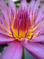 post-178648-0-22691400-1378550052_thumb.