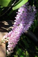 post-178648-0-26220100-1378390995_thumb.