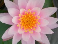 post-178648-0-49451200-1378549520_thumb.