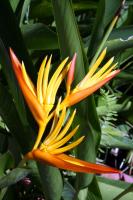 post-178648-0-84081500-1378391010_thumb.