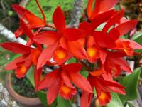 post-178648-0-89295100-1378391020_thumb.