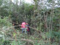 post-185776-0-09418800-1379926829_thumb.