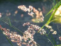 post-185776-0-35444900-1378285091_thumb.