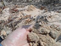 post-185776-0-38354600-1378025550_thumb.