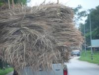 post-185776-0-43385600-1378546141_thumb.