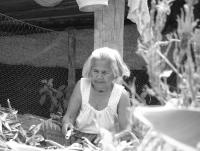 post-185776-0-43669200-1378022593_thumb.