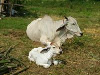 post-185776-0-52113200-1378195458_thumb.