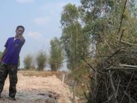 post-185776-0-54131300-1379932468_thumb.