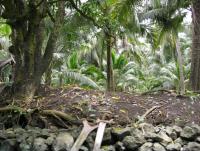 post-185776-0-59871200-1378805759_thumb.