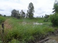 post-185776-0-63010000-1379926558_thumb.