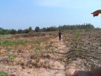 post-185776-0-63059500-1380096569_thumb.