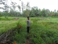 post-185776-0-71147400-1379934405_thumb.