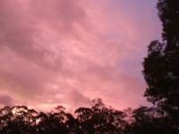 post-185776-0-71927200-1379240211_thumb.